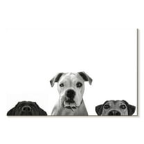 Elephant Stock Curious Dogs Wall Art - Horizontal Canvas Wall Art - Living Room Wall Decor - Animal Canvas - White And Gray Decor - 45" x 30"