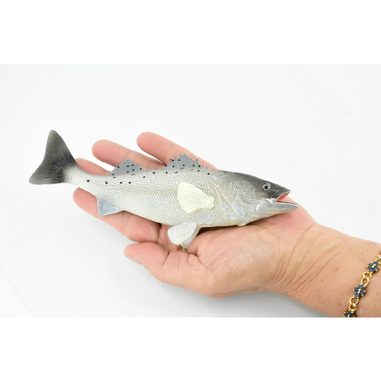 To 7 Speckled Trout (spotted Sea Trout) Fishing Lures 