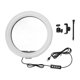 thumbnail image 2 of Luz Suave de 13 Pulgadas ANGGREK Enchufe USB Luz LED para Selfie Brillo 3000-6000K Ajustable con Soporte para Teléfono, 2 of 8