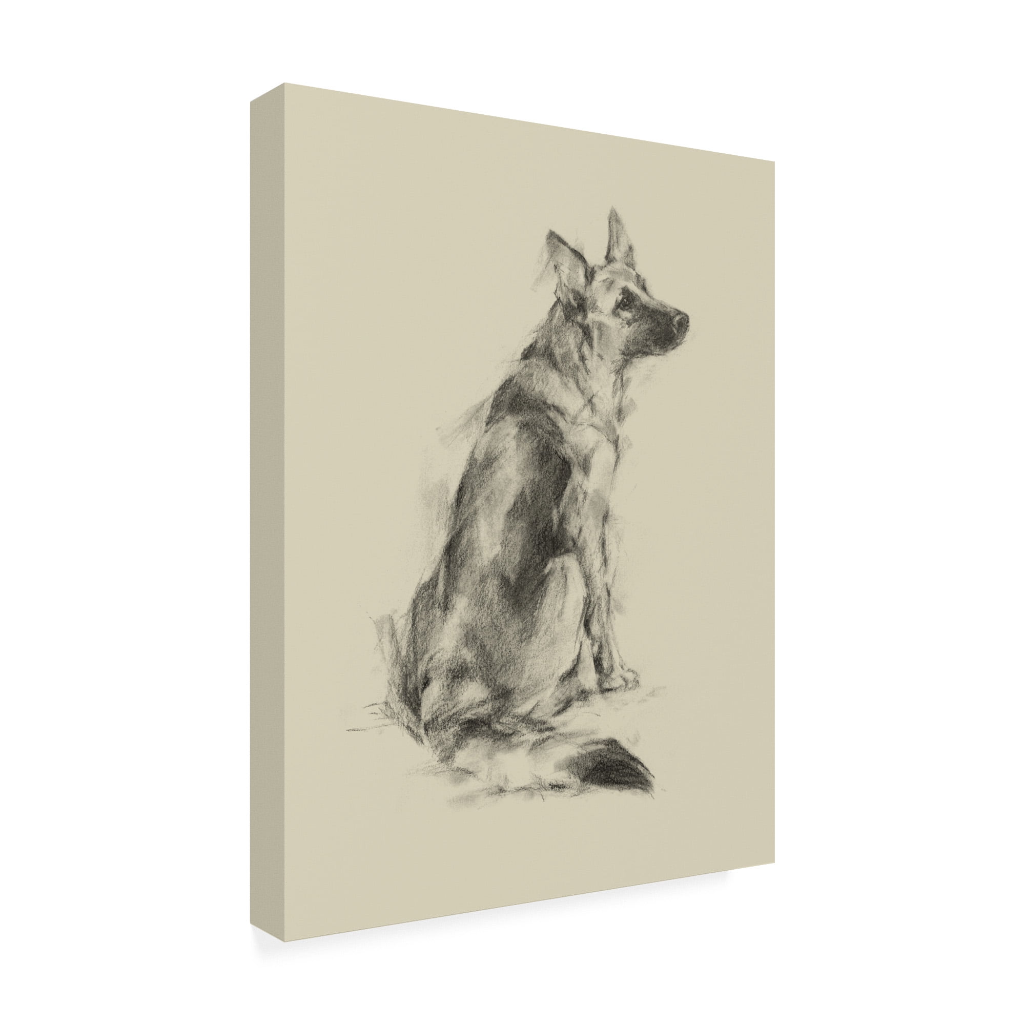 Trademark Fine Art 'Puppy Dog Eyes V' Canvas Art by Ethan Harper