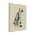 thumbnail image 2 of Trademark Fine Art 'Puppy Dog Eyes V' Canvas Art by Ethan Harper, 2 of 3