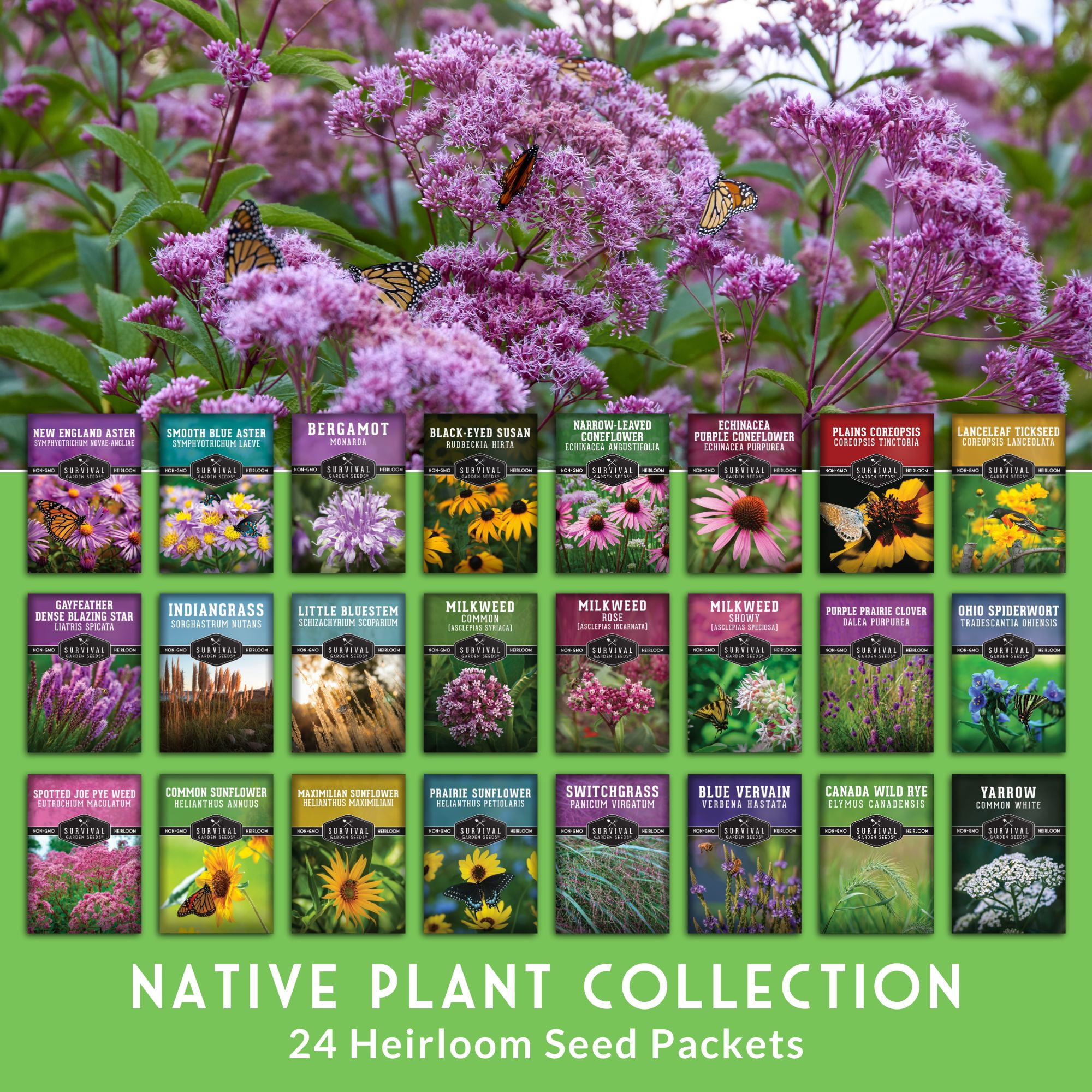 24 Native Flower Seeds - Wildflowers & Ornamental Grasses - Attracts Bees - Zone 3-10