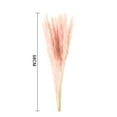 thumbnail image 2 of EIMELI Dried Small Pampas Grass Phragmites Communis Decoration for Home Store Wedding, 2 of 9