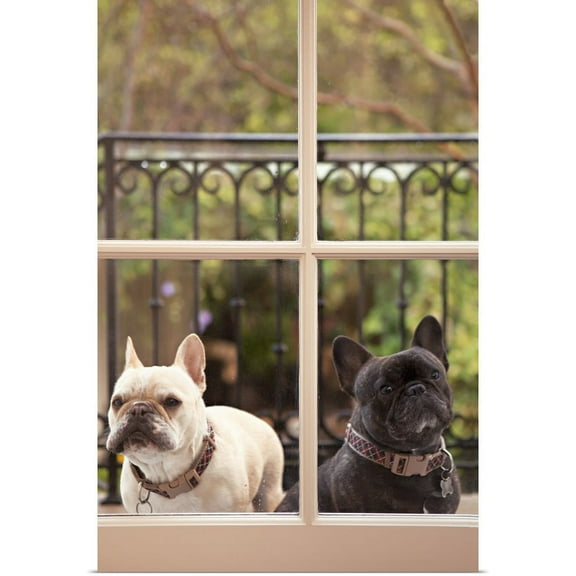 Great BIG Canvas | "A Dog's Life II" Art Print - 20x30