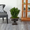 thumbnail image 4 of Nearly Natural 30" Cedar Artificial Tree in Iron Colored Urn (Indoor/Outdoor), 4 of 5