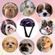 thumbnail image 4 of Casco para perros pequeños y medianos, casco de moto ventilado para perros, casco para mascotas con correa ajustable para gatitos y cachorros, 4 of 5