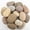 2-3 inch, variant on 40 LBS Natural River Rocks – 3–4 Inch Decorative Stones for Landscaping, Aquariums, Gardens, Yard Paving, Large Planters, Walkways, and Rock Painting