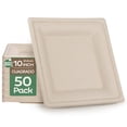 thumbnail image 1 of 50 Platos Cuadrados Ecologicos 26 cm / 10 x 10 Pulgadas Color Café Berry Green PLC10N, 1 of 5