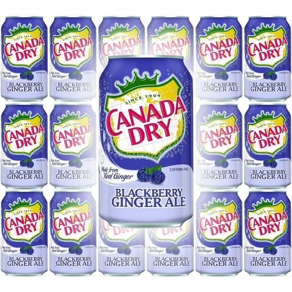 Canada Dry Ginger Ale Blackberry, 12oz Can (Pack of 18, Total of 216 Oz)
