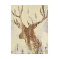 Trademark Fine Art 'Golden Antlers Ii Neutral Grey' Canvas Art by Albena Hristova