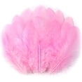 thumbnail image 5 of Plumas rosas para manualidades, 300 piezas de plumas artesanales a granel para bodas, fiestas en casa, suministros para atrapasueños y manualidades (rosa claro), 5 of 5