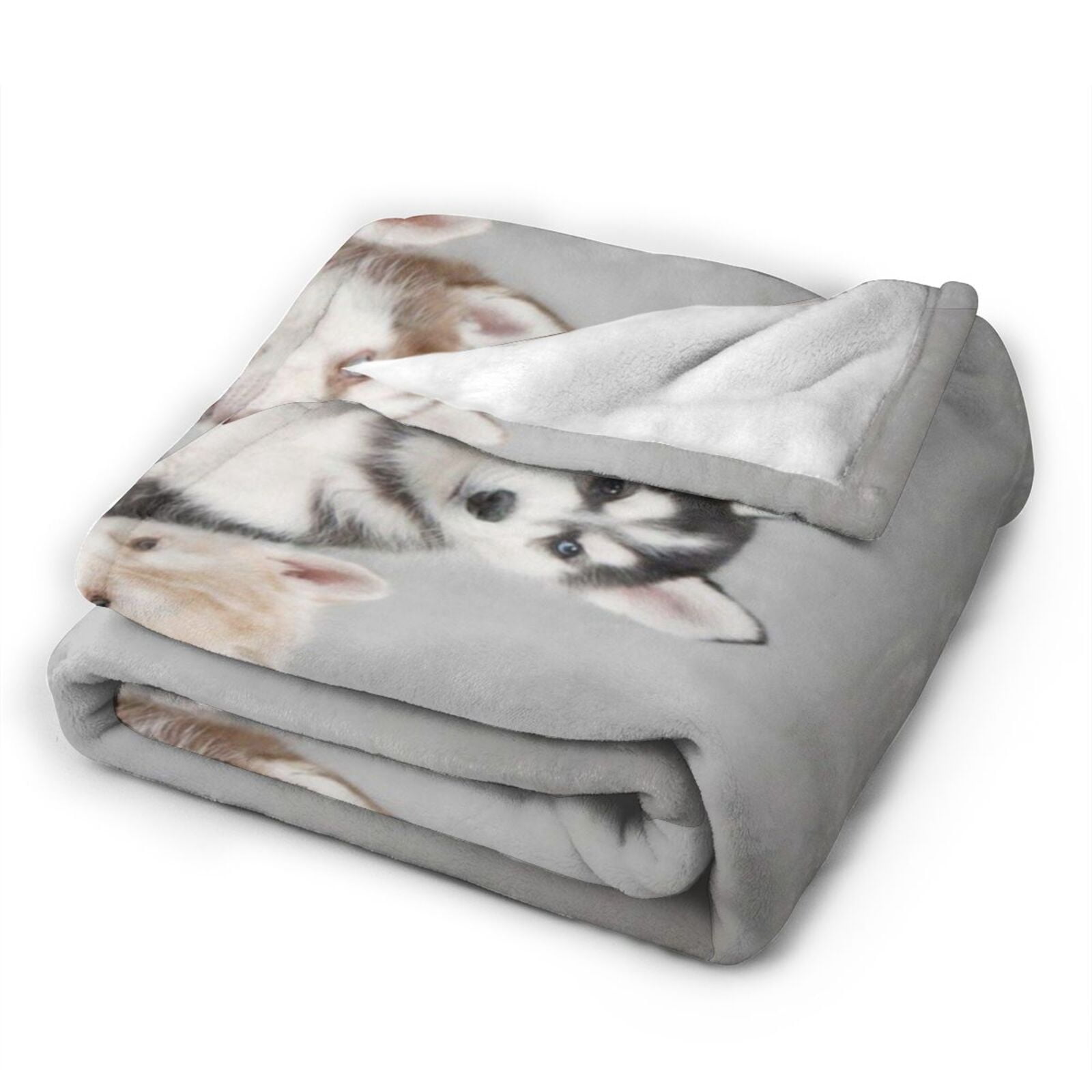 Wijzvio Husky Puppies Dogs Throw Blanket Soft Fuzzy Fleece Blanket For Couch Bed Living Room Decoration 60"X50"