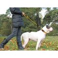thumbnail image 2 of LAICAIW Rope Dog Leash 4 FT with Comfortable Padded Handle, Highly Reflective Threads Strong Dog Leash for Large Dogs, 1/2 inch, Yellow, 2 of 7