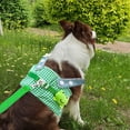 thumbnail image 6 of KMWGRE Cute Theme Adjustable Pet Harness And Leash Set For Small Dogs Cats Comfortable Reflective Outdoor Walking Gear B S, 6 of 6