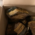 thumbnail image 6 of LARGE GOLD/BLUE Tiger Eye Rough - 10,000 Carat Lot + a FREE Faceted Gem, 6 of 12