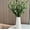 10PCS, variant on JEWLALO 5PCS Faux Olive Branches for Vase, 18 Inch Fake Olive Plants with Leaves and Fruits, Artificial Greenery Stems Indoor Home Spring Summer Decorations
