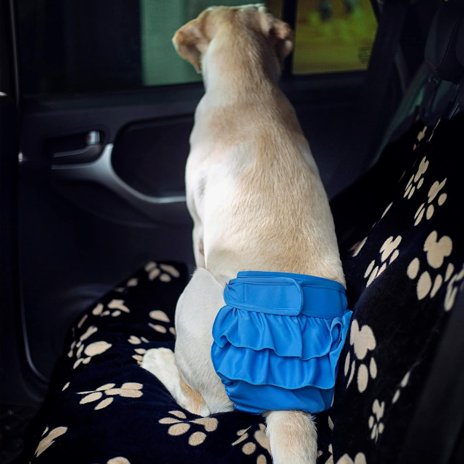 Dog Diapers Female Puppy Diapers for Female, Highly Absorbent Dog Heat Panties Reusable Washable Female Dog Diapers (Pack of 3)
