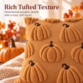 thumbnail image 5 of Sanmadrola Fall Pillow Covers 20x20 Set of 2, Halloween Throw Pillow Cases Pumpkin Soft Plush Faux Fur Wool Couch Cushion Case Thanksgiving Autumn Decorations for Sofa Bedroom Living Room Home Decor, 5 of 9