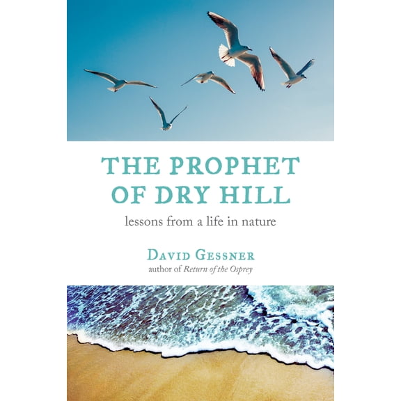 The Prophet of Dry Hill : Lessons from a Life in Nature (Paperback)