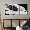 thumbnail image 3 of wall26 Canvas Print Wall Art Set Black &amp; White Daisy with Dew Droplets Floral Botanical Photography Realism Rustic Scenic Dramatic Grayscale Dark for Living Room, Bedroom, Office - 24"x36&qu, 3 of 6
