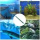 thumbnail image 3 of EeaseMX 1pc Fish Tank Air Difusor Aquarium Bubble Strip Tubo de Oxígeno Tubo Paisaje Suministro, 3 of 7
