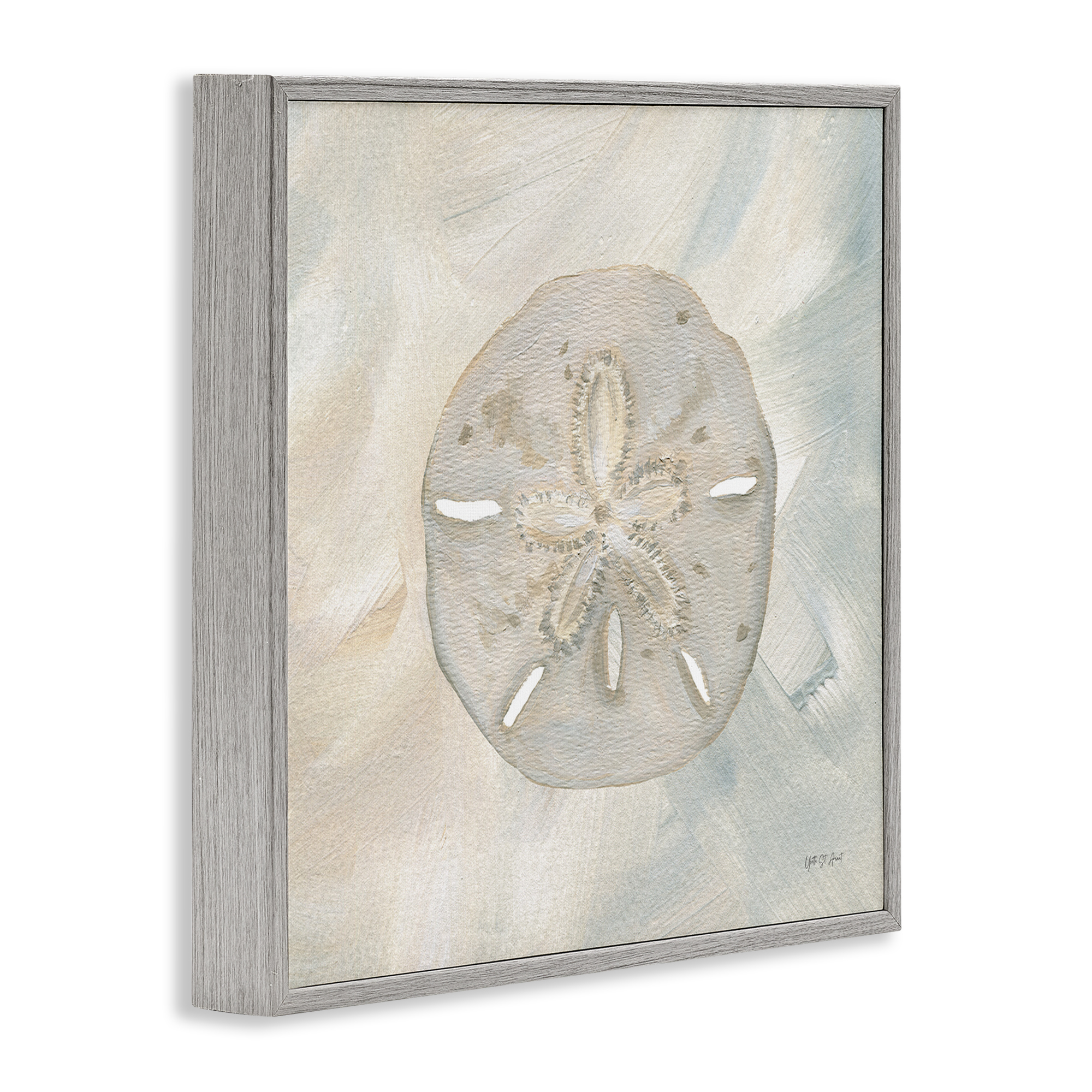 Stupell Industries Soft Sand Dollar Coastal Painting Gray Framed Art Print Wall Art, 24 x 24