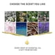 thumbnail image 3 of Lemon Water Soluble Aromatherapy Essential Oil Humidifier Perfume 10ml, 3 of 3