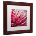 thumbnail image 3 of Trademark Fine Art "Red Melody" Canvas Art by Beata Czyzowska Young, White Matte, Wood Frame, 3 of 4