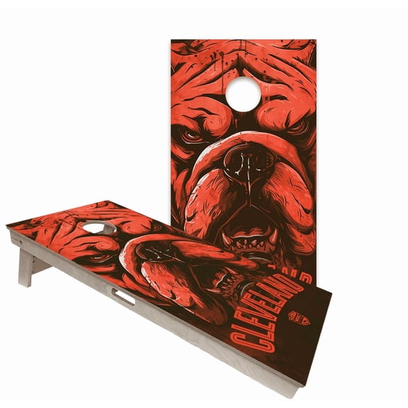 Skip's Garage | Cleveland Backyard 2x4 Cornhole Board Set with Bags