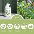 thumbnail image 6 of Neem Oil 1 Gallon for Skin and Hair Need Oil Pure Cold Pressed for Mixing Oil for Plants Neem Concentrate for Plant, 6 of 8