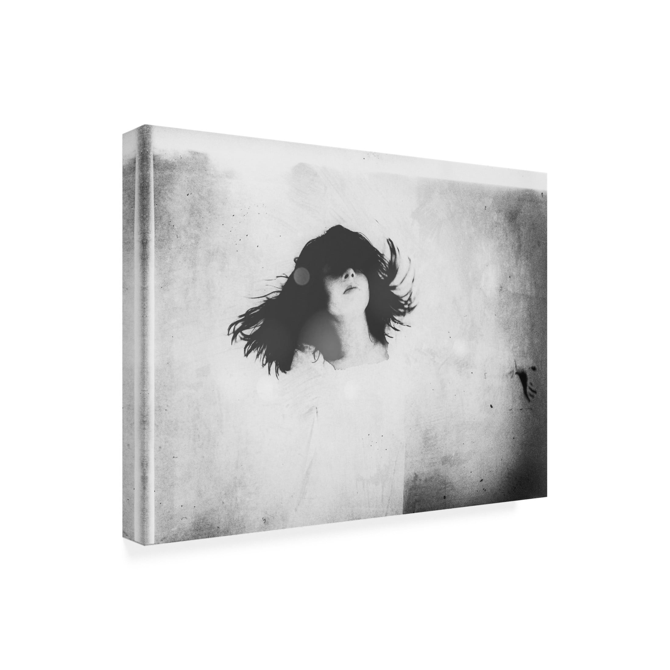 Trademark Fine Art Delphine Margau Soul Dance Canvas Wall Art