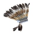 thumbnail image 2 of Sombrero indio, tocado de plumas artificiales, diadema de disfraz para Halloween, cosplay, 2 of 9