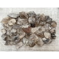 thumbnail image 3 of GAF TREASURES Wholesale Raw Smoky Quartz Crystals, Natural Smoky Quartz Stone, Natural Rough Smoky Quartz Crystals, Smoky Quartz Rough, Smoky Quartz Healing Crystals (Smoky Quartz, 0.25 Pound), 3 of 8