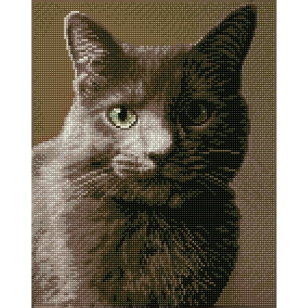 UPC: 4895225917570 | DIAMOND DOTZ® Smokey Diamond Painting Kit
