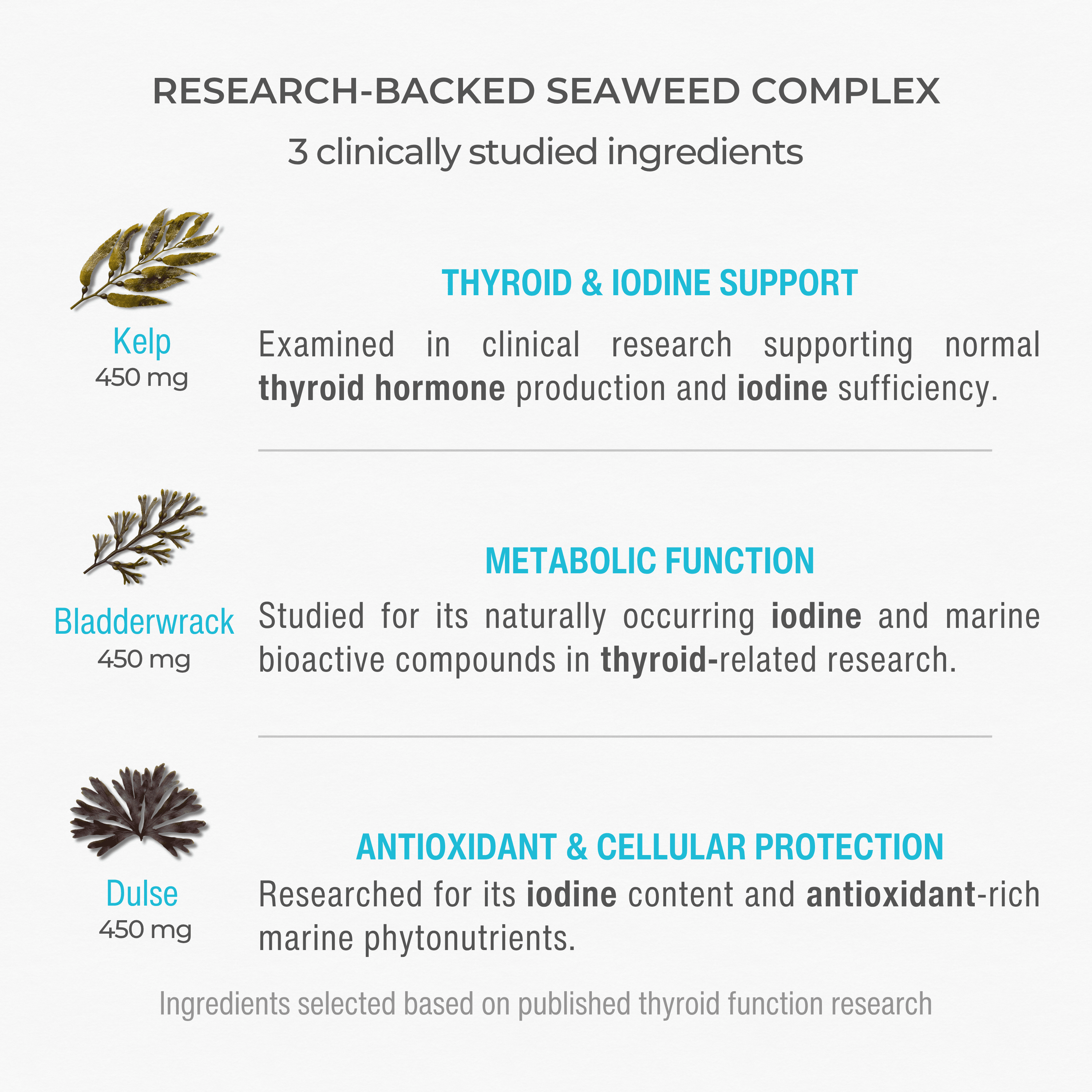 Sea Iodine Organic Kelp Supplement for Thyroid Support and Hypothyroidism | 210 mcg Seaweed Iodine Daily | for Women and Men | Hormone Balance & Metabolic Efficiency