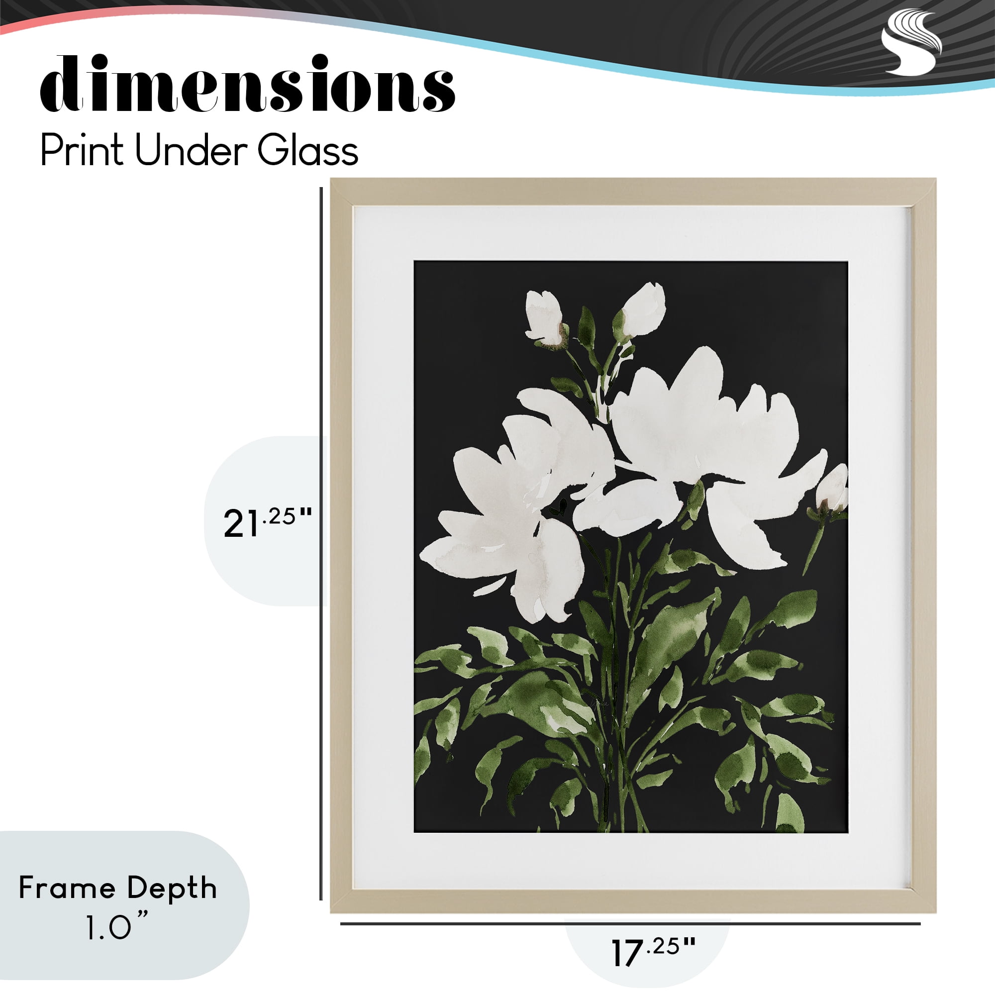 Stupell Industries White On Black Floral Birch Framed Print Under Glass, design by Lucille Price