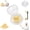 1pcs, variant on Garlic Mincer Manual Twister, Ginger and Herb Grinder Tool, Multi-Purpose Kitchen Crusher for Garlic Onion Nuts, Compact Dishwasher Safe
