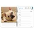 thumbnail image 3 of French Bulldogs | 2025 6x7.75" Engagement Planner Calendar | BrownTrout, 3 of 9