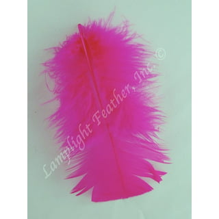 Red Turkey Plumage (flats) Craft Feathers per Ounce from Lamplight