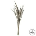 thumbnail image 5 of Vickerman 36" White Wash Bahia Spears with Seeds, 2 pack, Dried, 5 of 5