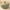 Mint Green, variant on Deals of the Day!Ympuoqn Halloween Decorations indoor Outdoor on Clearance,Pumpkins Plush Toys Pumpkins Throw Pillows, Fall Decorative Pumpkins Shaped Pillows Cute Shaped Cushion,Fall Decoration