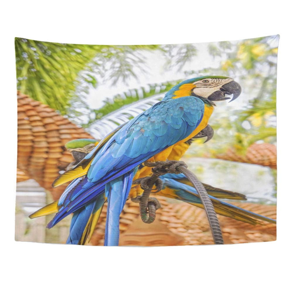 Animal Macaw Tapestry Wall Hanging,Bedroom Living Room Dorm Wall Art Decor