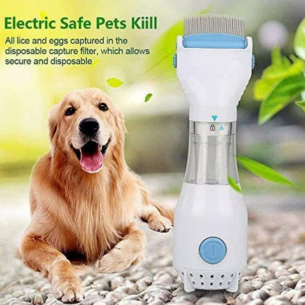 Deworming medicine top for dogs walmart