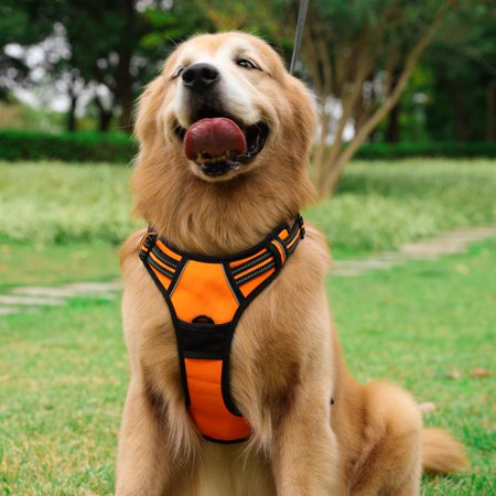 Rabbitgoo Dog Harness No Pull Adjustable Safe Comfort Pet Vest