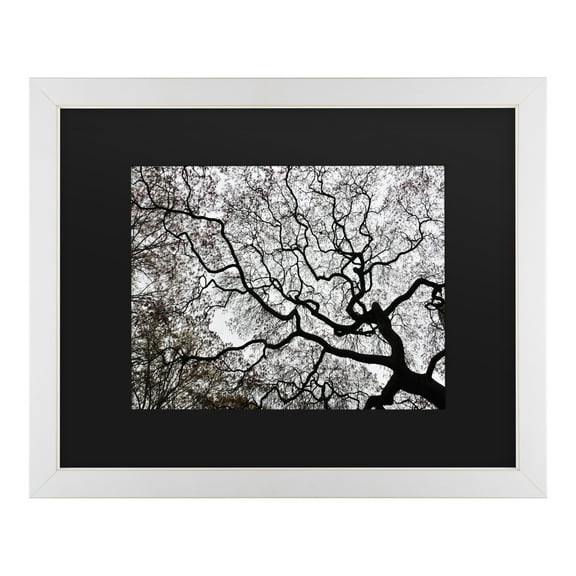 Trademark Fine Art 'Japanese Maple Spring Abstract II' Canvas Art by Kurt Shaffer