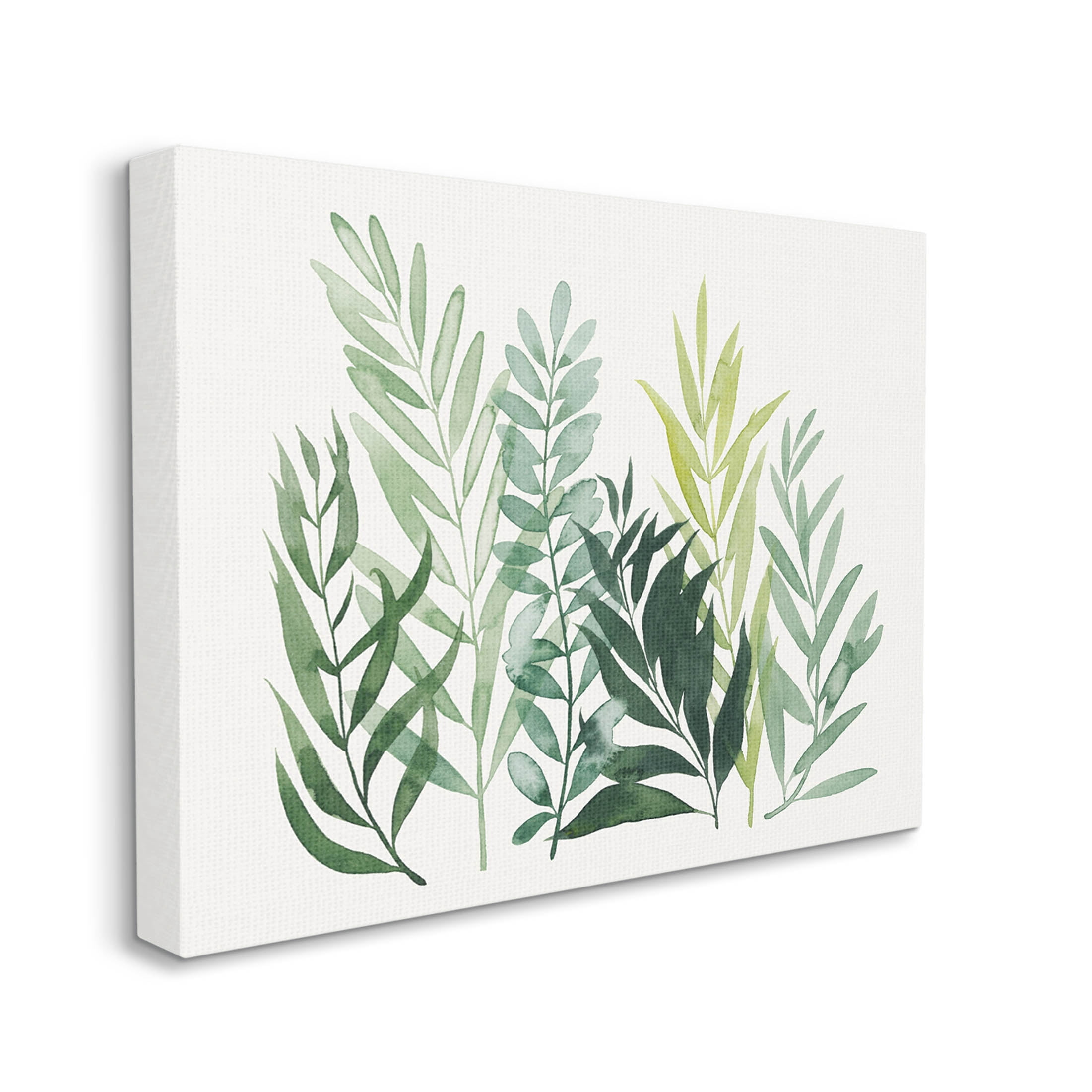 Stupell Industries Varied Grasses Botanical Leaves Graphic Art Gallery Wrapped Canvas Print Wall Art, Design by Grace Popp