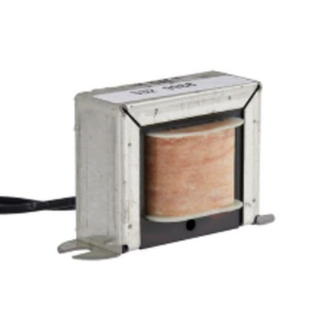 Flowtron Replacement Lamp Ballast for Bug Zapper, 25W, 120V Compatible with FC-4400 & FC-4800, 1 Count