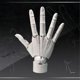thumbnail image 5 of Flexible Artisthand Model, Adjustable Hand Drawing Model, A, 5 of 5