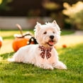thumbnail image 3 of Mumup Christmas Dog Collar, Adjustable Classic Red Plaid Xmas Collars with Removable Bowtie Christmas Dog Collars for Medium Dogs Pets, 3 of 5