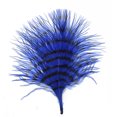 thumbnail image 1 of Zucker Feather Products Turkey Marabou Stenciled - 3-4.5" - Royal/Black, 1 of 1